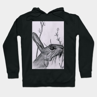 Jack Rabbit Hoodie